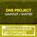 cover: Dns Project - Gauntlet/Shatter