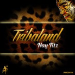 cover: Nay Fitz - Tribaland