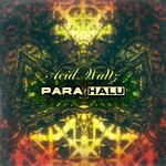 cover: Para Halu - Acid Waltz