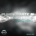 cover: Dj Pro Basic|Pump Estate - Bumping Lovers