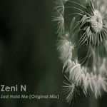 cover: Zeni N - Just Hold Me