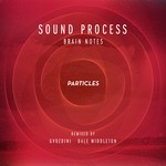 cover: Sound Process - Brain Notes