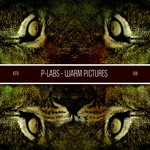 cover: P Labs - Warm Pictures