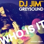 cover: Dj Jim Ru & Greysound - Who Is It