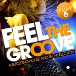 cover: Various - Feel The Groove: A Blistering House And Tech Selection Vol 6