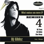 cover: Dj Gibbz|Wonga - What Makes You Move Remixes EP