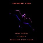 cover: Helgeland 8 Bit Squad|Sarah Winton|I Lodica - Swimming Bird