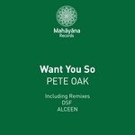 cover: Pete Oak - Want You So