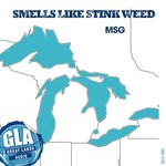 cover: Msg - Smells Like Stink Weed