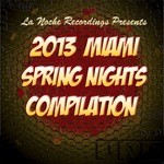 cover: Dimi Mechero - 2013 Miami Spring Nights Compilation