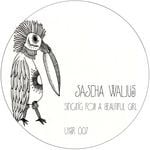 cover: Sascha Wallus - Singing For A Beautiful Girl