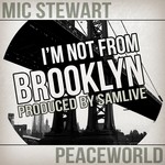 cover: Mic Stewart - I'm Not From Brooklyn