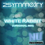 cover: 2symmetry - White Rabbit