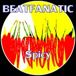 cover: Beatfanatic - Fire & Pain