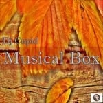 cover: Dj Cupid - Musical Box