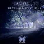 cover: Dj Rostej - Beats Of Forest