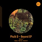 cover: Phulk D - Beyond