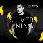 cover: Fabricio Pecanha - Silver Lining