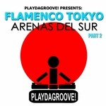 cover: Flamenco Tokyo - Arenas Del Sur (Part 2)