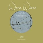 cover: Delph Meer - Warm Wires