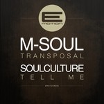 cover: M Soul|Soulculture - Transposal