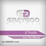 cover: Ethan - Into The Silence