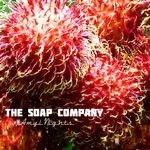 cover: The Soap Company - Amyl Nights