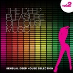 cover: Various - The Deep Pleasure Of House Music Vol 2 (Sensual Deep House Selection)