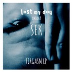 cover: Sek - Fergasm EP