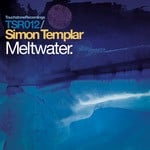 cover: Simon Templar - Meltwater