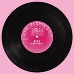 cover: Pink Flamingos - Nasa