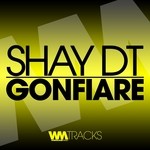 cover: Shay Dt - Gonfiare