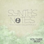 cover: Various - Synths & Notes 4.0 (Tech House Collection)