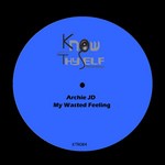 cover: Archie Jd - My Wasted Feeling