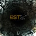 cover: Sst - Down The Well