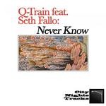 cover: Q Train - Never Know