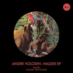 cover: Andre Volodin - Haldex