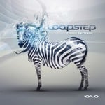 cover: Loopstep - Coded Patterns