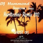 cover: Bananarama - Venus (DJ Hammond Hardtechno Remix 2012)