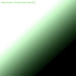 cover: Various - Best DJ Tracks: Summer Ibiza Night 2013