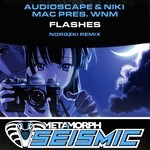 cover: Audioscape|Niki Mak|Wnm - Flashes