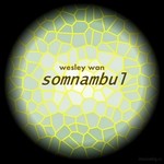 cover: Wesley Wan - Somnambul