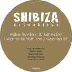 cover: Mnedez|Mike Syntec - I Wanna Be With You/Gabriela