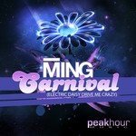 cover: Ming - Carnival (Electric Daisy Drive Me Crazy)