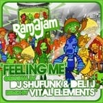 cover: Dj Shufunk|Deli J - Feeling Me