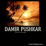 cover: Damir Pushkar - Sweet Things