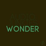 cover: Audio Junkies - Wonder