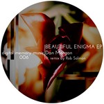 cover: Dan Morgan - Beautiful Enigma