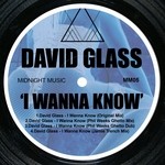 cover: David Glass - I Wanna Know