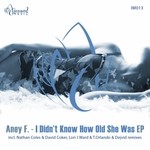 cover: Aney F. - I Didn't Know How Old She Was EP